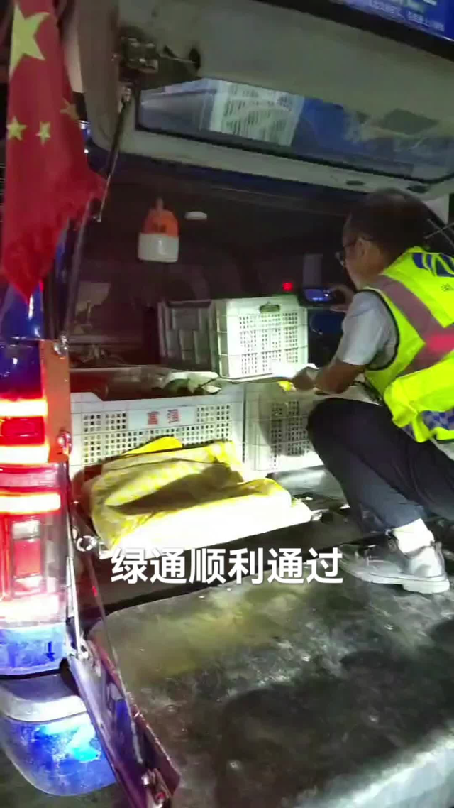 皮卡的好處7547557293001687576視頻