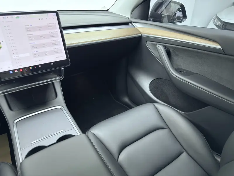 Tesla Model Y — фото 10