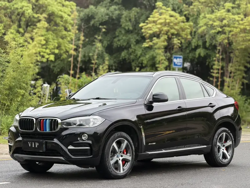 BMW X 6 x Drive 35i Luxury
