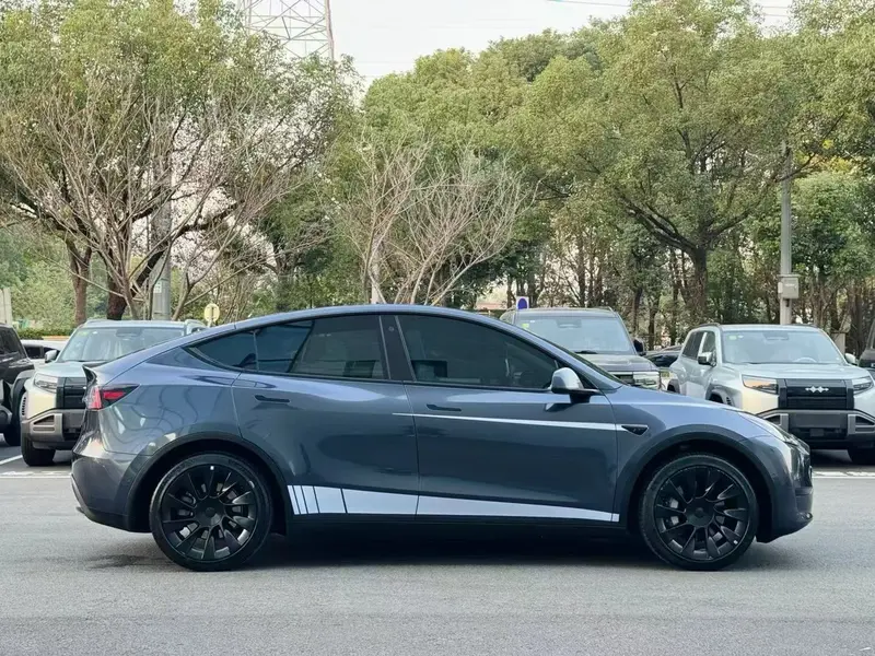 Tesla Model Y задний привод — фото 6