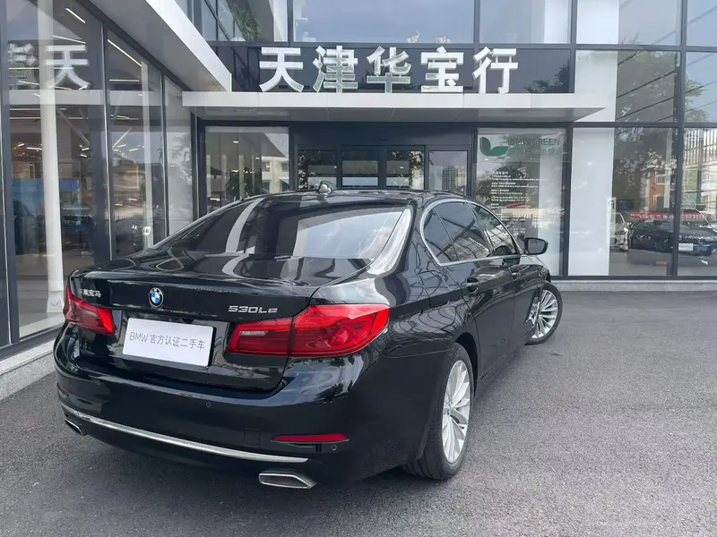 BMW 5 Series 530Le люкс-пакет — фото 4