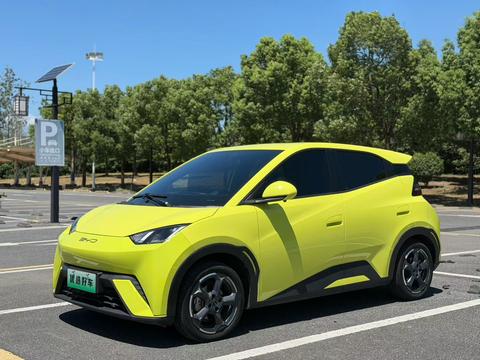 BYD Seagull