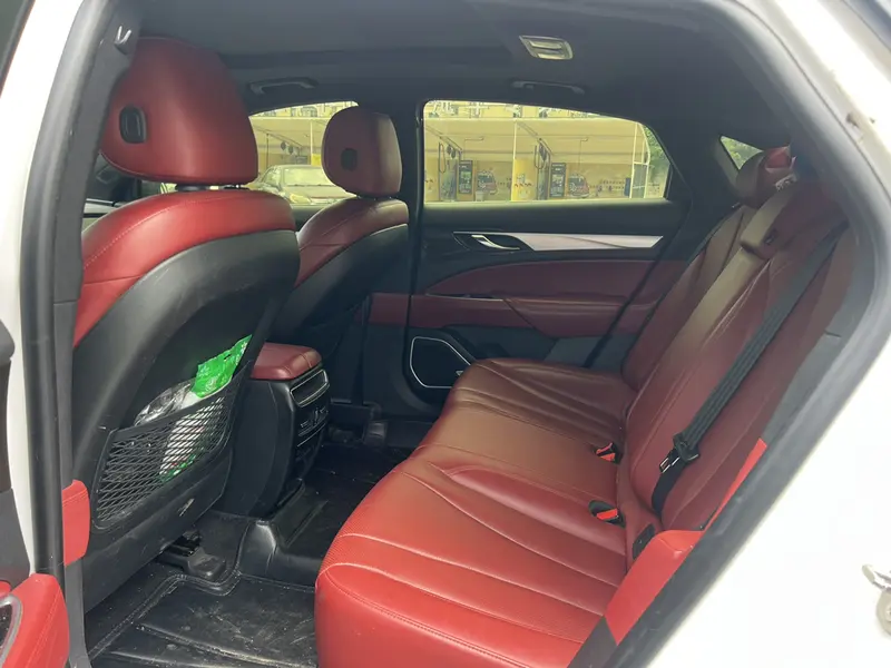 Geely Borui — фото 14