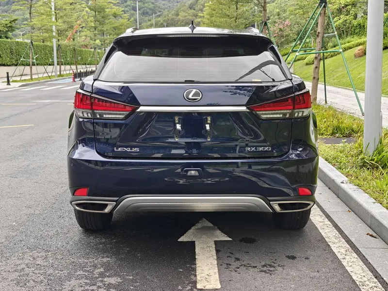 Lexus RX — фото 5