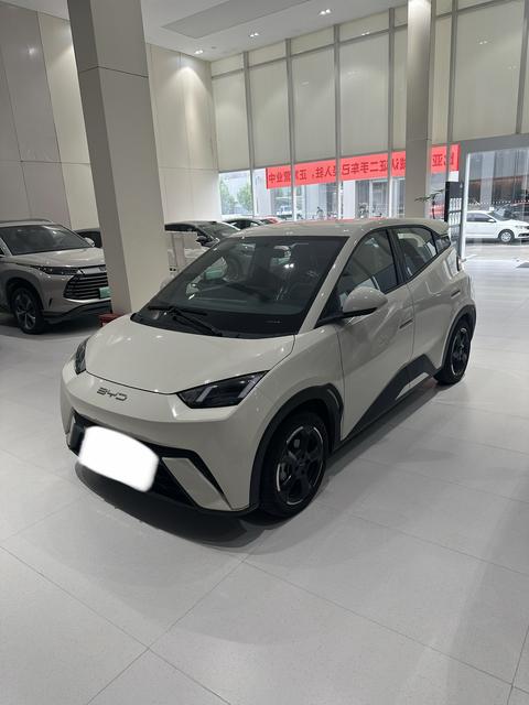 BYD Seagull