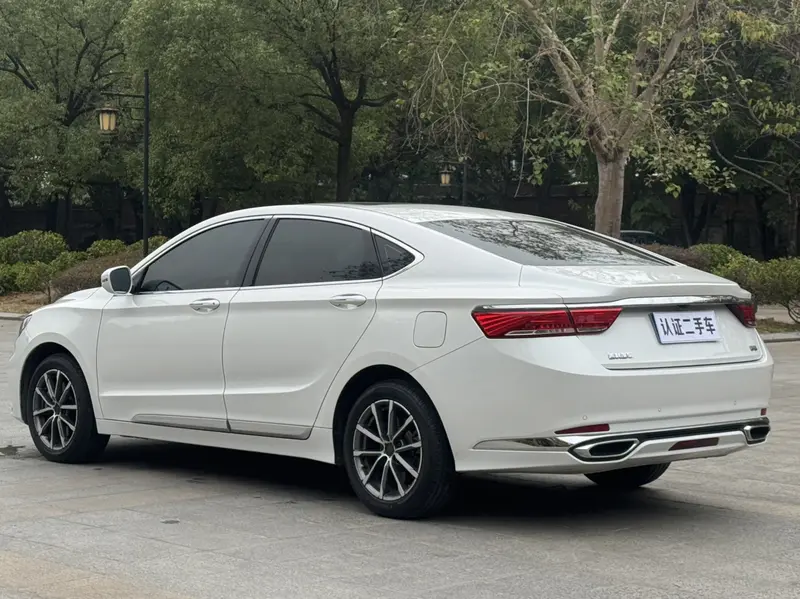 Geely Borui — фото 4