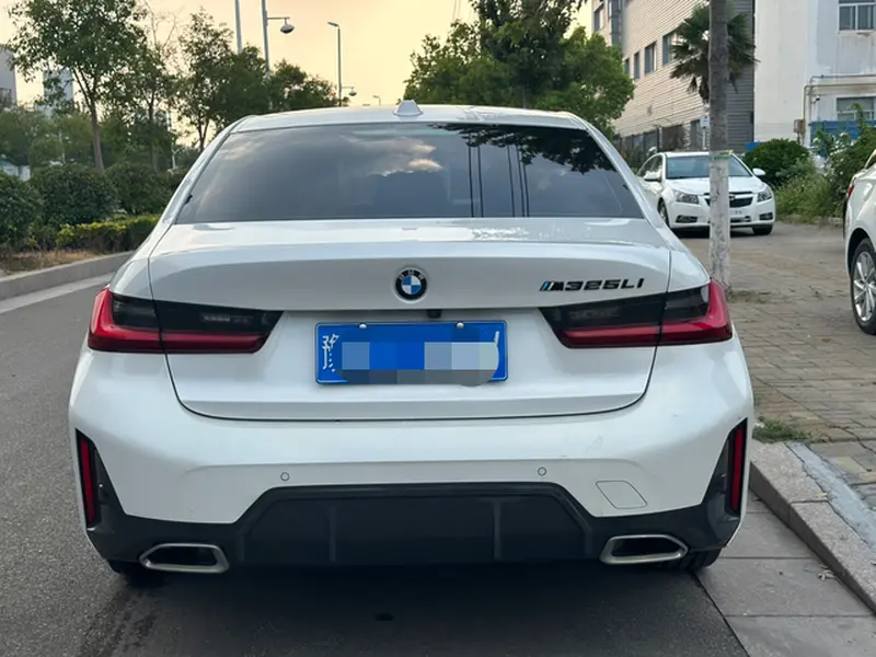 BMW 3 Series 320Li M спортпакет — фото 3