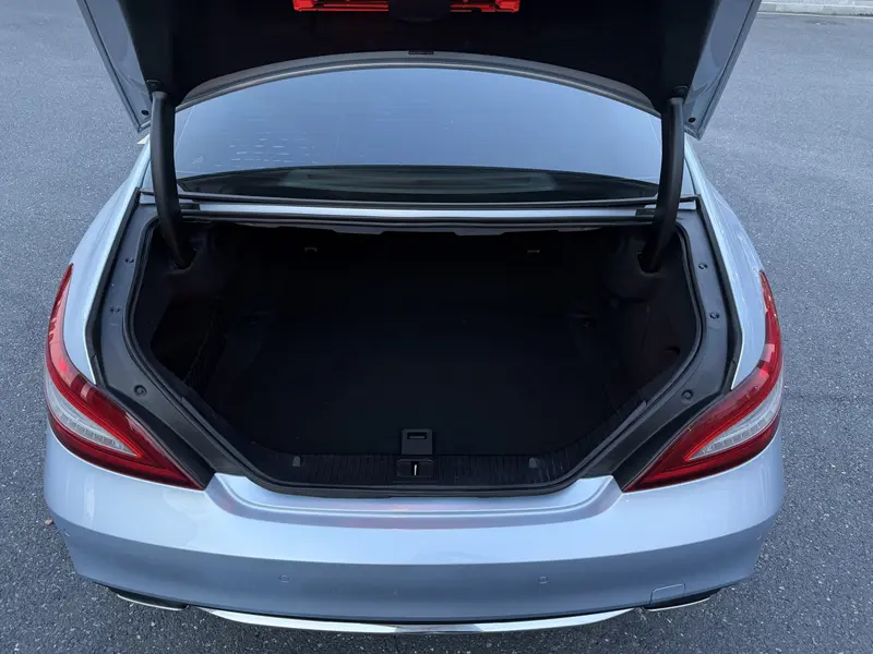 Mercedes-Benz CLS 320 — фото 13