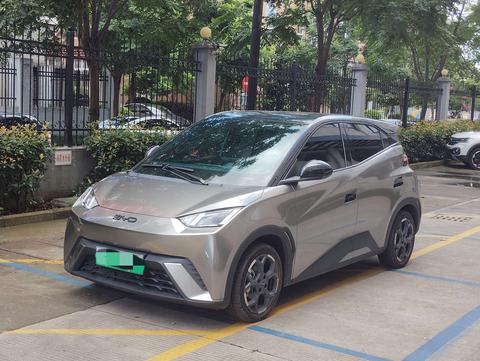 BYD Seagull 2025 305KM Freedom
