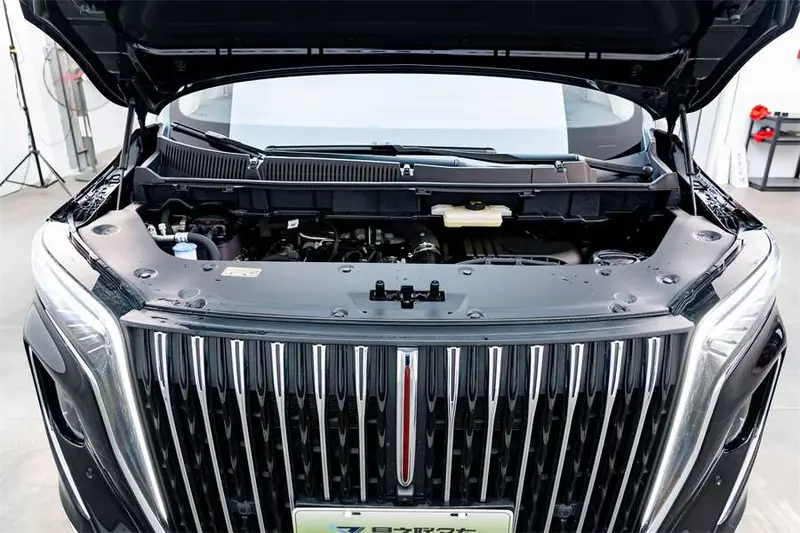 Hongqi HQ 9 PHEV 4 WD Luxury — фото 5