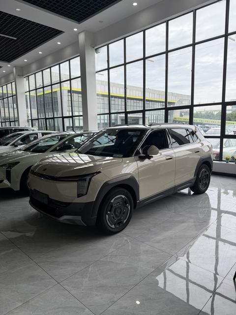 Dongfeng Nano 06