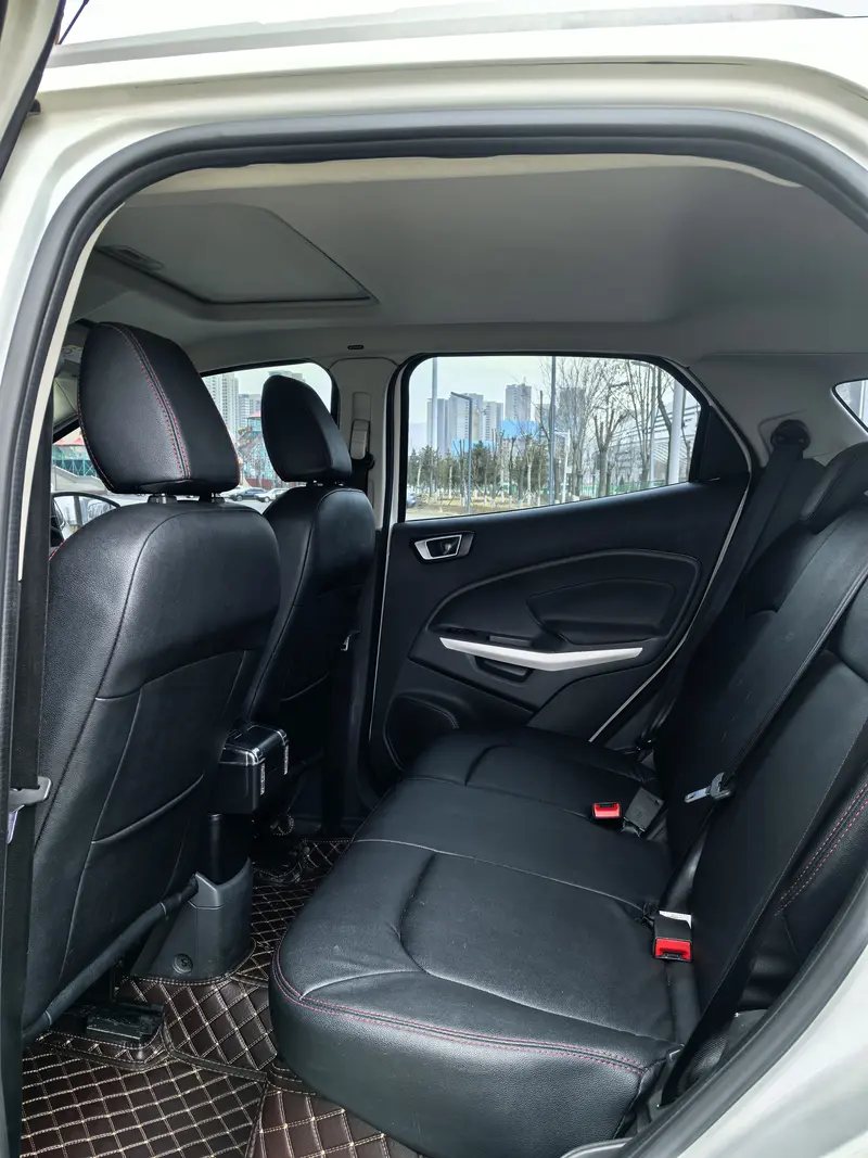 Ford EcoSport — фото 12