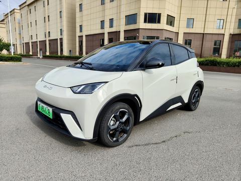 BYD Seagull