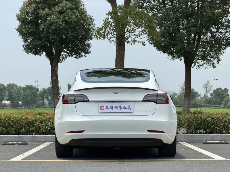 Tesla Model 3 Performance — фото 5