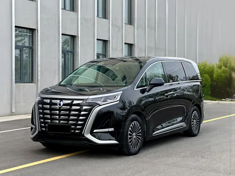 Denza D9