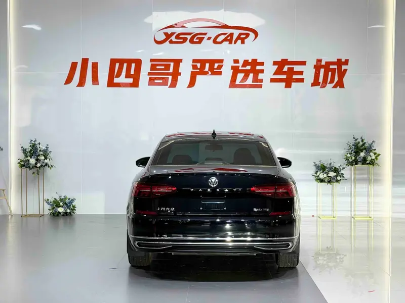 Volkswagen Passat 330 TSI Elite VI — фото 6
