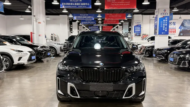 BMW X5 xDrive30Li M спортпакет — фото 2