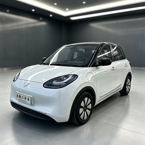 Wuling Bingo