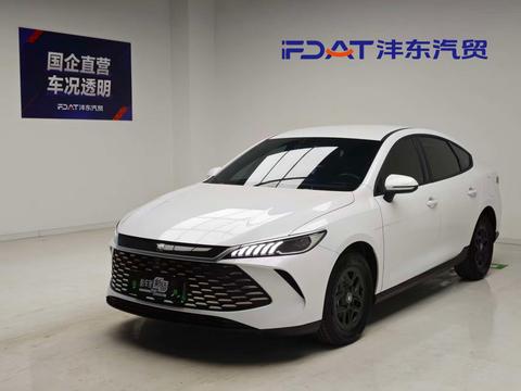 BYD Qin Plus DM-i PLUS DM 2025 Smart Drive DM-i 55KM Lead