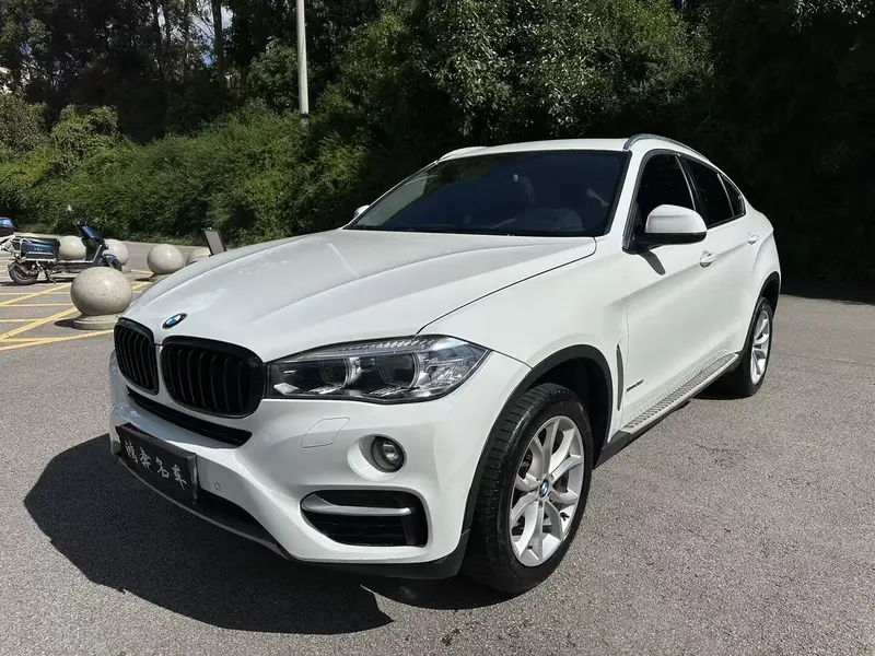 BMW X 6 x Drive 35i