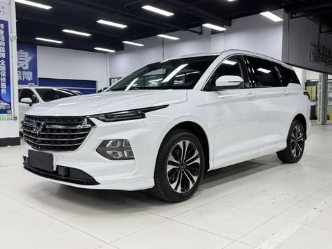 Wuling Victory