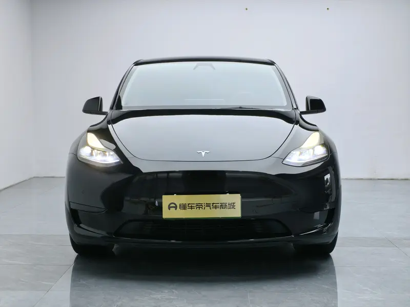 Tesla Model Y — фото 2