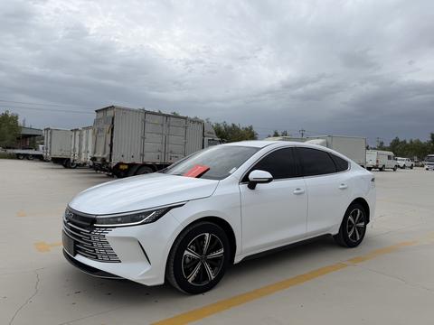 BYD Destroyer 05