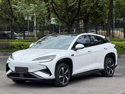 BYD Sea Lion 07 EV, 2024 год