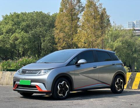 BYD Dolphin
