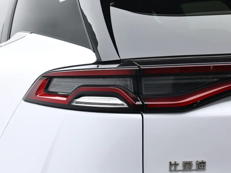 BYD Tang DM-i 112 KM Premium — фото 3