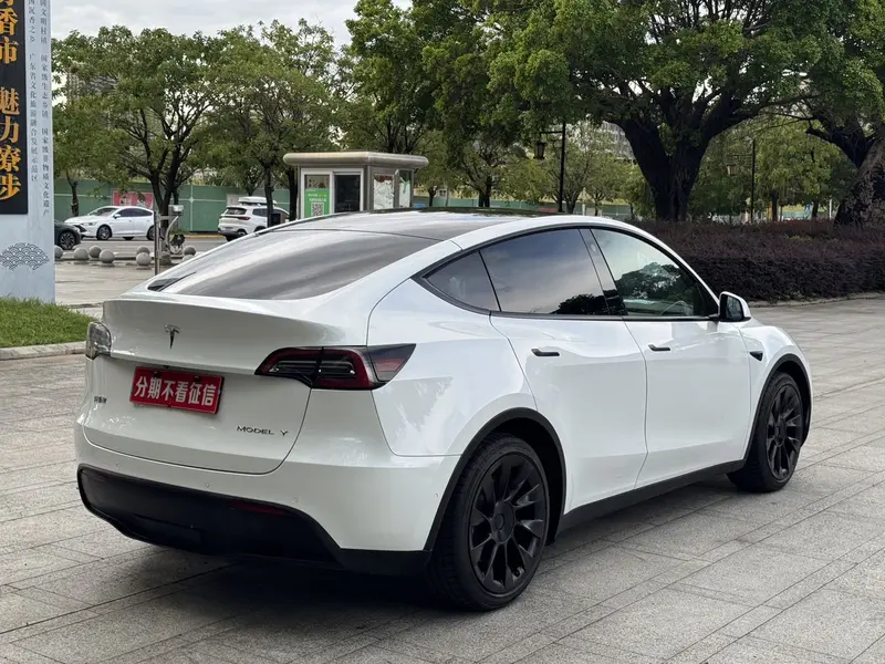 Tesla Model Y — фото 7