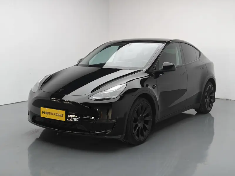 Tesla Model Y — фото 1