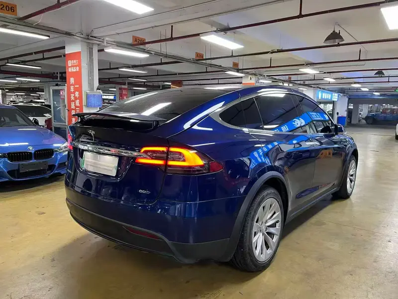 Tesla Model X 100 D — фото 7
