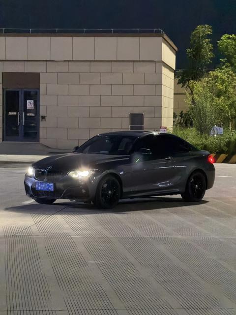 BMW 2 Series (Import)