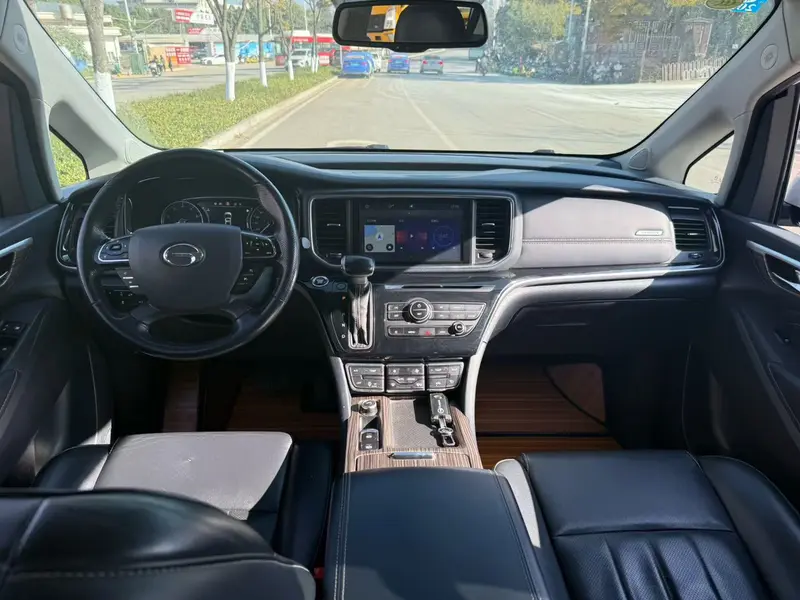 Trumpchi GACTrumpchi M8 — фото 7