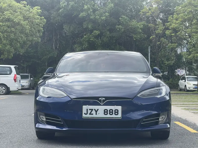 Tesla Model S 75 D — фото 2
