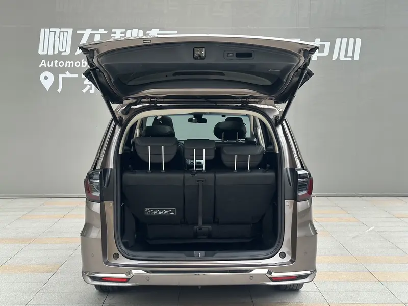 Honda Elysion 2.0L люкс — фото 11