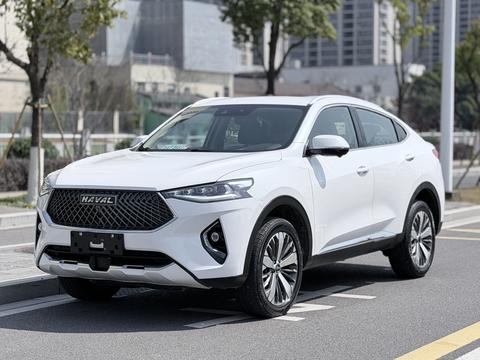 Haval F7x, 2021 год