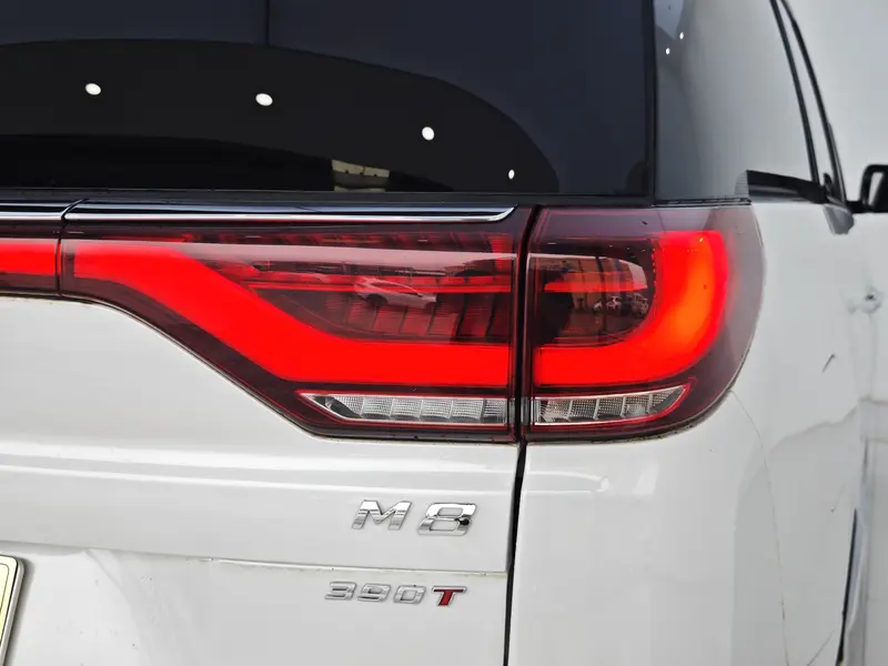 Trumpchi GACTrumpchi M8 — фото 9