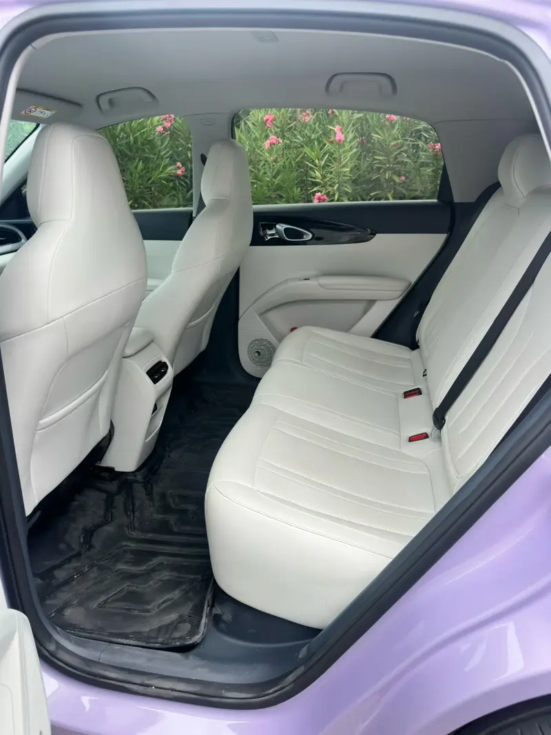 Geely Galaxy Starwish — фото 8
