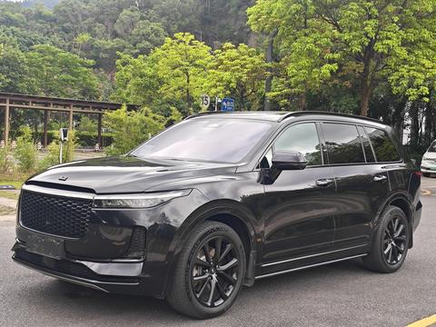 Li Auto ONE