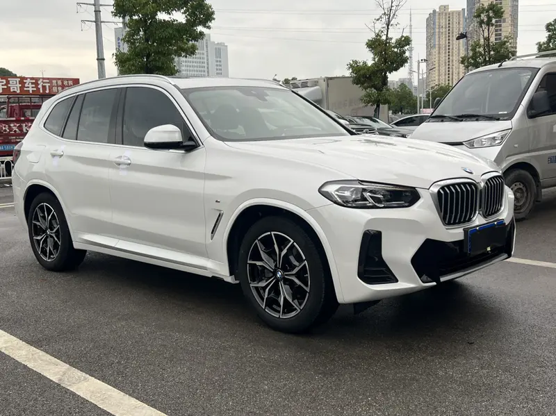 BMW X3 xDrive25i M спортпакет — фото 3