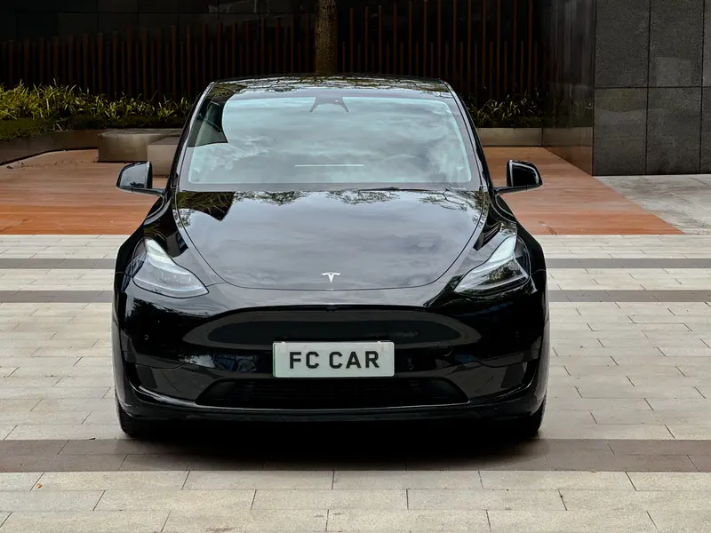 Tesla Model Y — фото 2