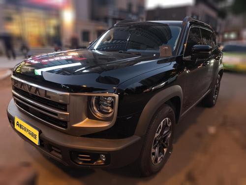 Haval Big Dog