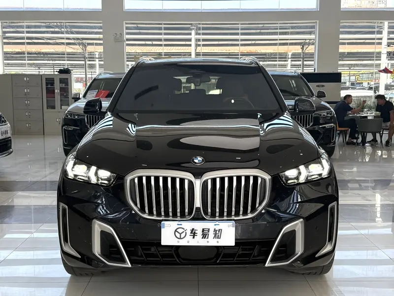 BMW X5 xDrive40Li M спортпакет — фото 2