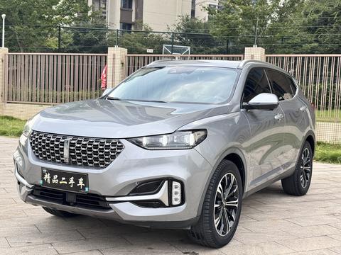 WEY VV6