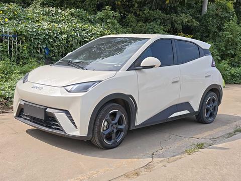 BYD Seagull 2024 405KM Flying