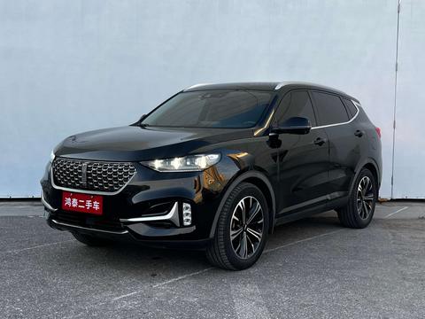 WEY VV6