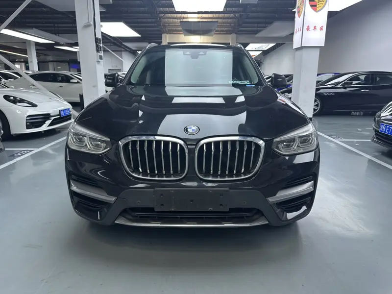BMW X3 xDrive25i люкс-пакет — фото 2