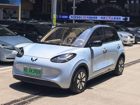 Wuling Binguo 2025 333KM